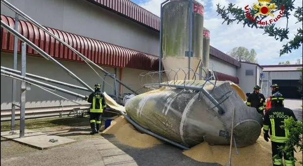 Crolla silos di mangimi e investe un'auto a Forlì: morte tre persone