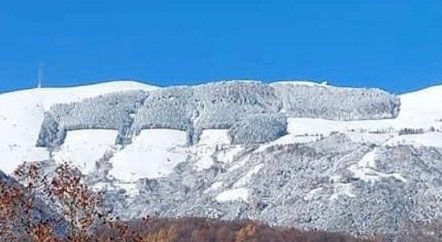 Un'immagine dell'ippopotamo sul monte Cesen, diventato ormai un simbolo e un punto di riferimento