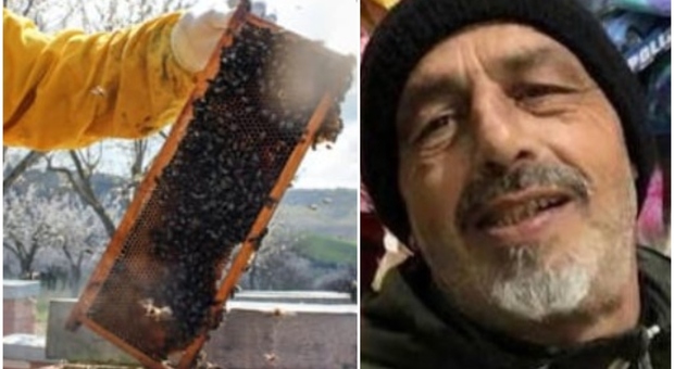 Sciame di api e calabroni lo assale, muore per choc anafilattico: Salvatore Ruggeri aveva 59 anni