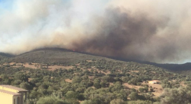 Incendio a Budoni in Sardegna, sgomberate 250 case nella notte, sfollati i turisti
