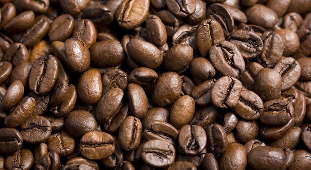 Rubati in un supermercato i 16 chili di caffè: polizia interroga testimoni