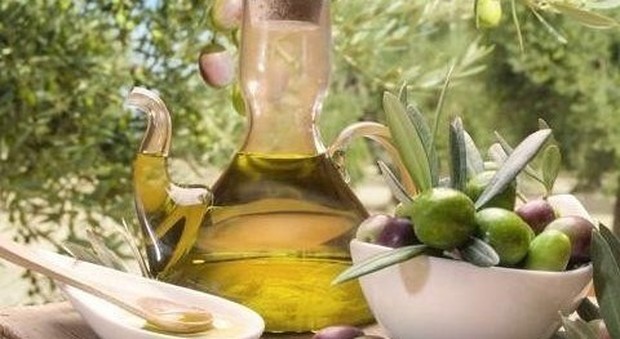 Olio d'oliva, l'autogol della Lega Nord spiana la strada alla Spagna
