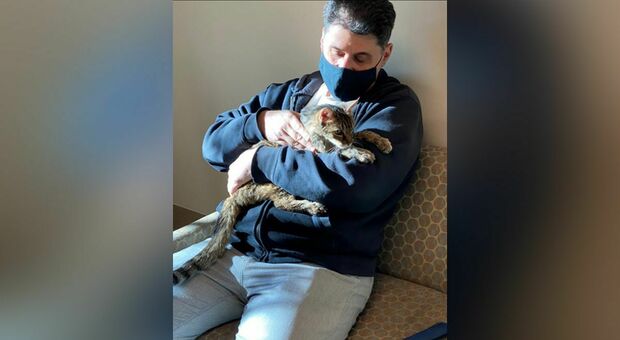 Ritrova la sua gatta dopo 15 anni, la storia incredibile: «L’ho presa in braccio e ha iniziato a fare le fusa» Los Angeles County Department of Animal Care and Control via AP