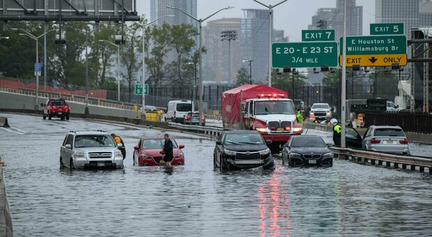 New York allagata, continua l'emergenza, il sindaco: «Situazione pericolosa, rimanete a casa». Una foca fugge da Central Park