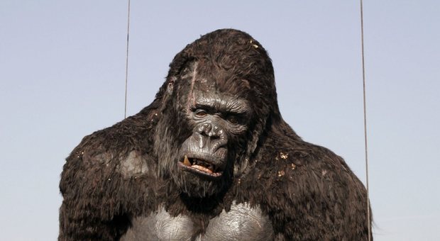 Se King Kong torna a sovrastare il cinefilo