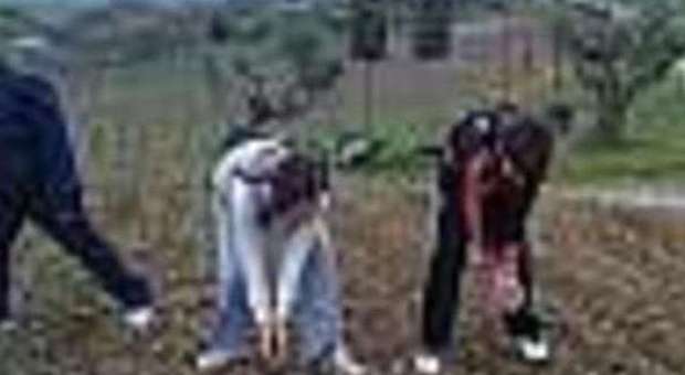 Dottor contadino, due agricoltori su dieci ha la laurea nelle Marche