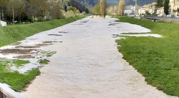 Pioraco, forti piogge nella notte e in mattinata: il fiume Potenza tenuto sotto controllo