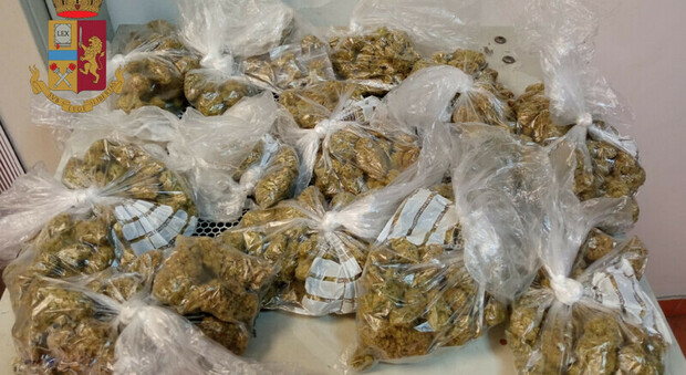 Rione Sanità, arrestato 29enne: sorpreso 895 grammi di marijuana in casa