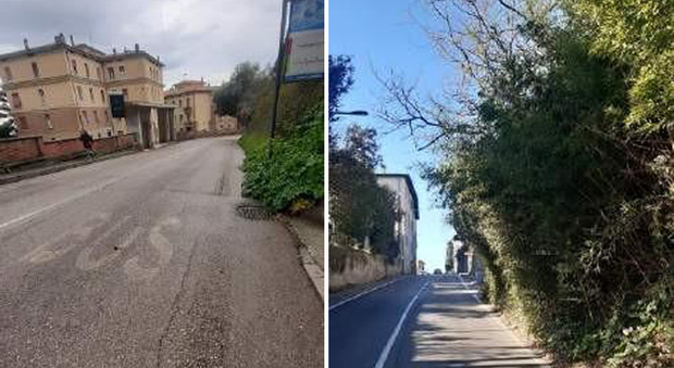 Segnaletica orizzontale invisibile e vegetazione che invade la corsia: i problemi segnalati dagli autisti dei bus a Perugia