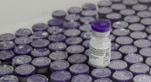 Vaccino anti Covid, ritardi nelle consegne di Pfizer: «Rallentamenti per 3-4 settimane»