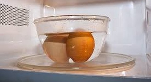 Uovo esplode dopo la cottura al microonde, diciannovenne rischia la vista