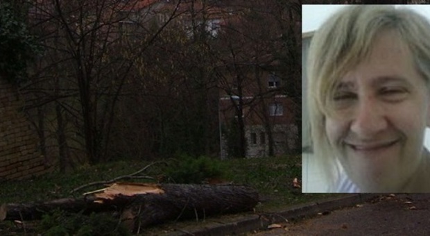 Urbino, donna muore schiacciata da un albero abbattuto dal vento