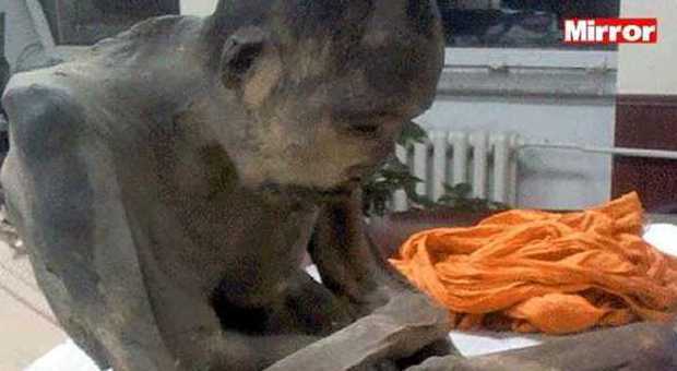 Il monaco mummificato di 200 anni: "Era in profonda meditazione"