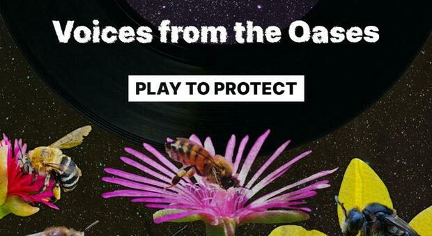 “Voci dalle Oasi”, la playlist di 3Bee che suona per la salvaguardia della biodiversità