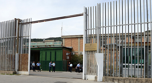 Salerno, detenuto riceve una visita dal suo cane in carcere: scoppia la polemica