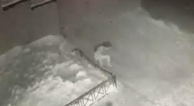 Bambina di sei anni cade dal quarto piano su un mucchio di neve e si rialza come se niente fosse - VIDEO