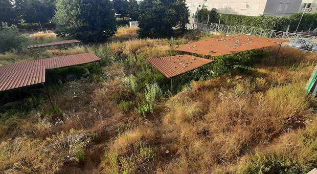 Pozzuoli, la "villa di Annibale" in abbandono, tra rifiuti e malerba