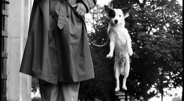 La giornata del cane: Treviso lo celebra con una mostra di Elliott Erwitt