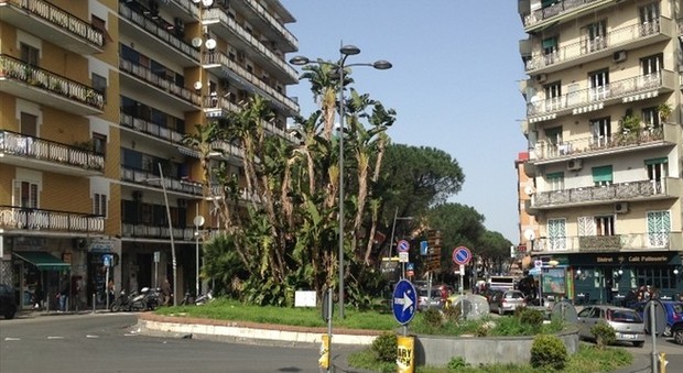 Napoli, boom di furti ai Colli Aminei: «Rubano ogni giorno, presi di mira»