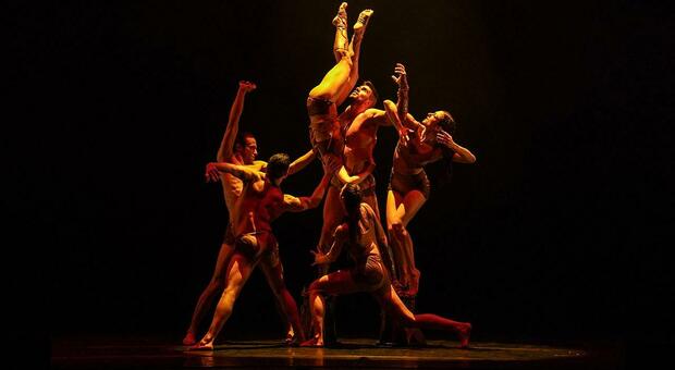Kataklò, danza e creatività: Al Teatro della Fortuna di Fano da venerdì a domenica in scena “Back to dance”