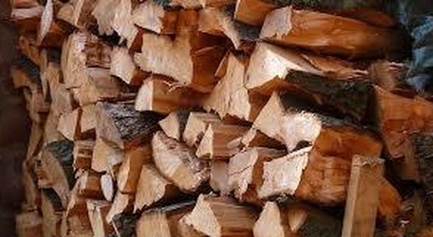 Processo infinito e rischio di 6 anni di carcere per un furto di legna da 20 euro