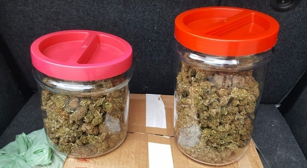 Trovati con 400 grammi di marijuana: arrestati due giovani