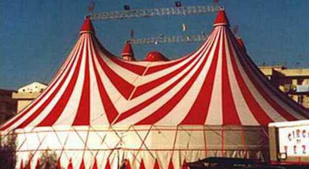 Cade mentre smonta il tendone del Circo, morto un ragazzo di 19 anni: "Volo di 3 metri"