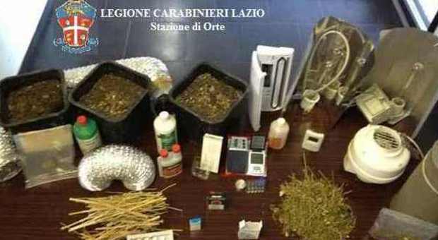 Droga e anabolizzanti: sei arresti tra Orte e Civita Castellana