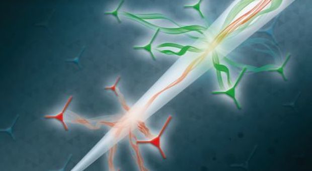 Una fibra ottica per studiare e curare Parkinson e depressione: la scoperta nel Salento