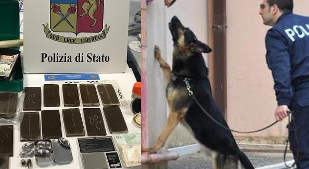 Poliziotti e cane antidroga gli trovano in casa 2 chili di hashish: arrestato