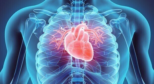 Torino, l'Intelligenza artificiale può migliorare le cure di chi ha avuto un infarto. Lo studio