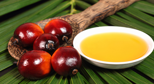 La verità sull'olio di palma: "Non è nocivo". Ma qualcuno rischia lo stesso