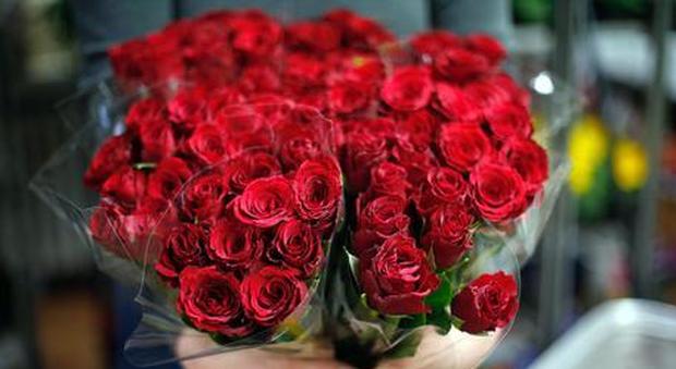 «Per te tanti fiori, nonna cara»: col mazzo di rose le rubano 3mila euro