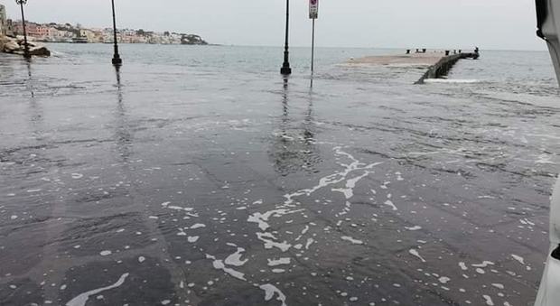 acqua alta a Ischia Ponte sabato 2 febbraio 2019