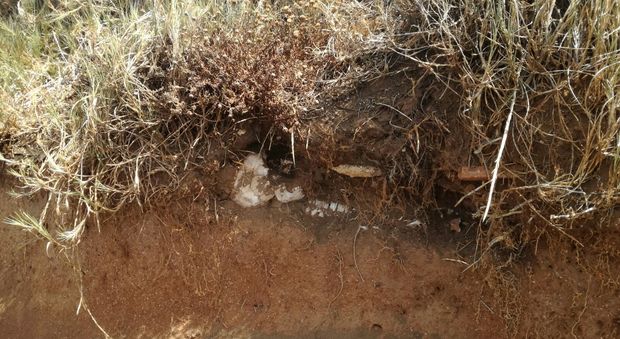 Lo scheletro ritrovato a Ladispoli