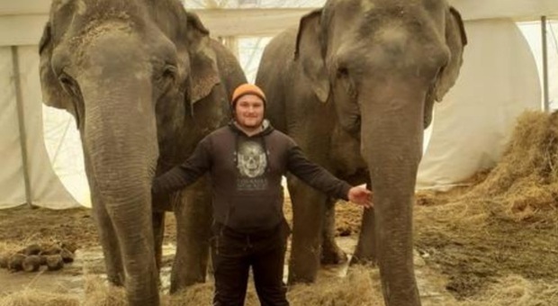 I due elefanti del circo. (Immag diffusa da Ansa)