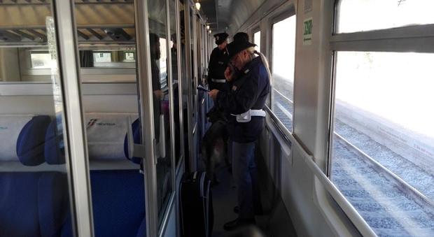 Arrestato molestatore seriale: colpiva le donne a bordo del treno