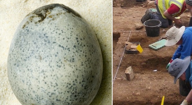 Gli archeologi trovano quattro uova di epoca romana, ma ne rompono accidentalmente tre