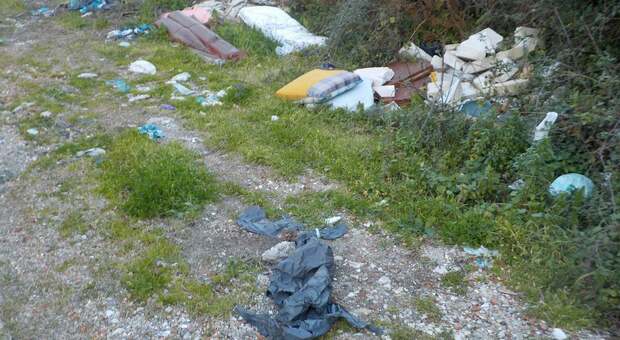 Rifiuti abbandonati nel Parco del Cilento, l'appello degli attivisti: «Ripulite»