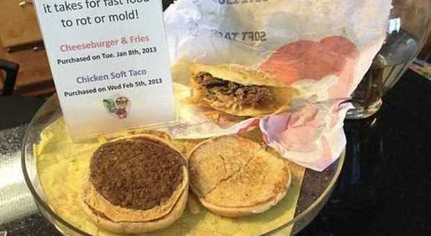 Cheeseburger di McDonald's lasciato per 2 anni all'aria aperta: ecco come l'hanno ritrovato