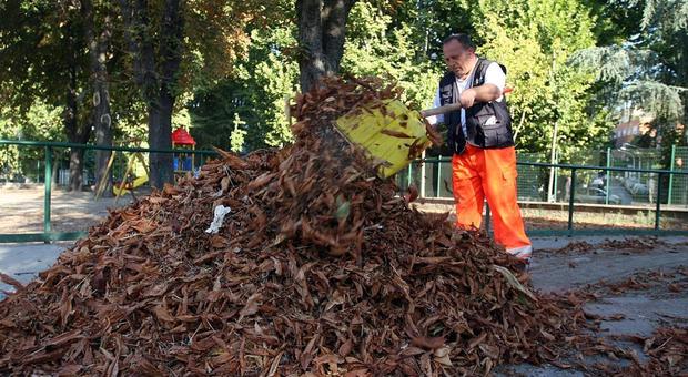 Roma, 34 squadre dell'Ama per la rimozione delle foglie da strade e marciapiedi