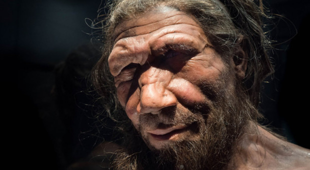 Covid, il gene che aumenta il rischio di mortalità «nato da un Neanderthal»