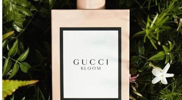 Debutta Gucci Bloom, il profumo di Dakota Johnson e Hari Nef