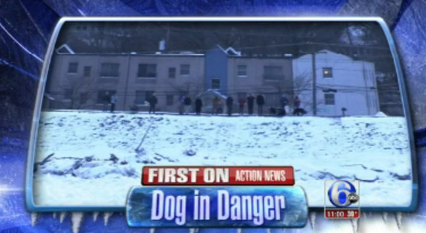 Il cane bloccato sul fiume ghiacciato: è stato salvato dai passanti eroi