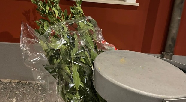 Adria, vandali gettano nel cestino i fiori alla memoria dei caduti in guerra