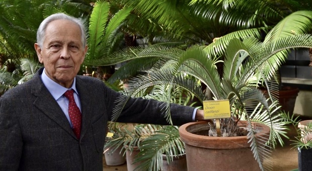 Morto Paolo De Luca, storico direttore dell'Orto Botanico di Napoli