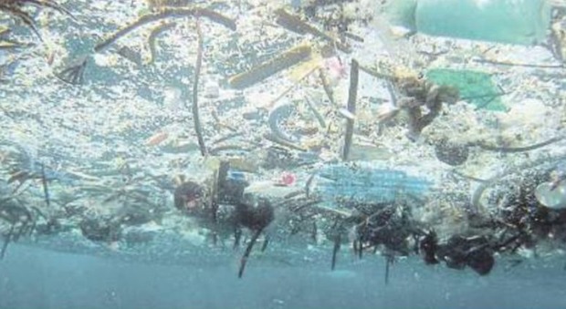 L'orrore dell'isola di plastica alla deriva per il Mar Tirreno: specie marine a rischio