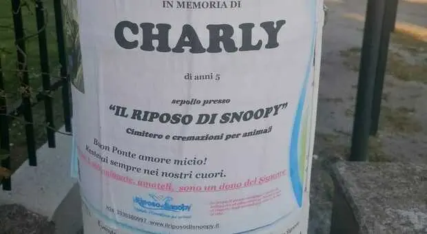Il manifesto in memoria di Charly