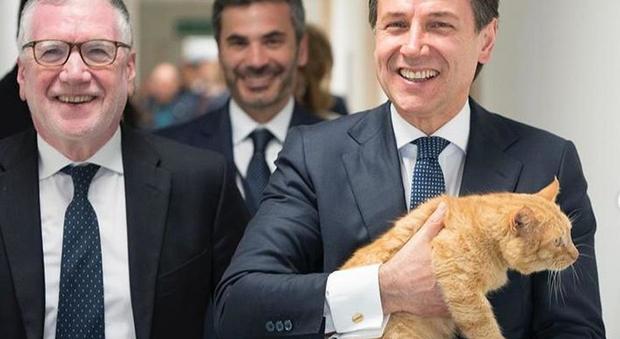 Conte, sfilata nel centro ricerche con in braccio il gatto dell'Università