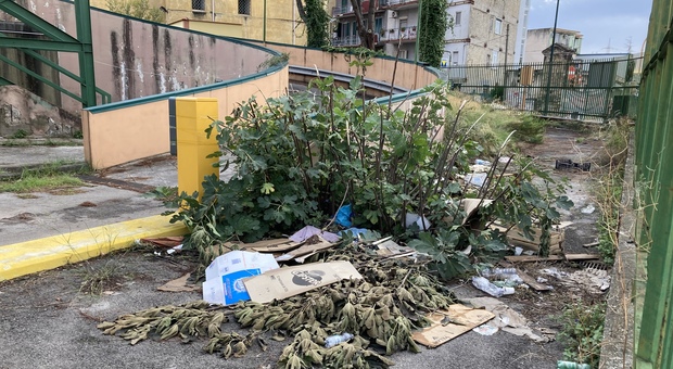 Napoli, erbacce e rifiuti nel parcheggio di via Argine a Ponticelli